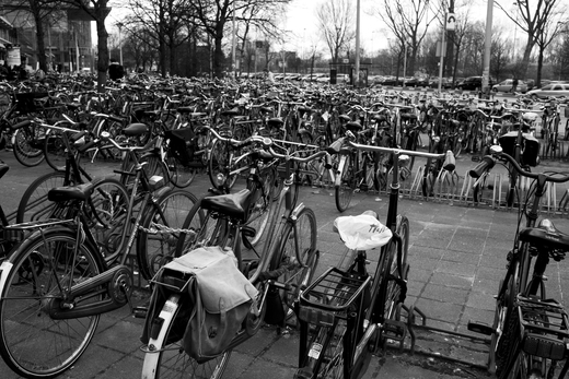 amsterdam (day7) 004.jpg