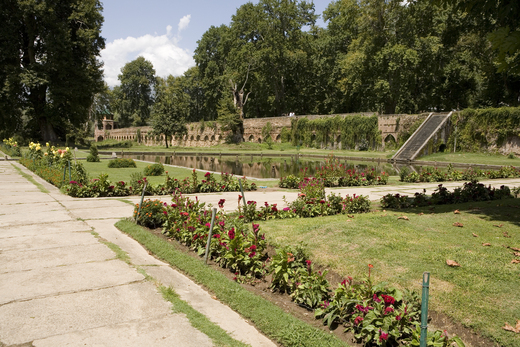 mogul gardens 011